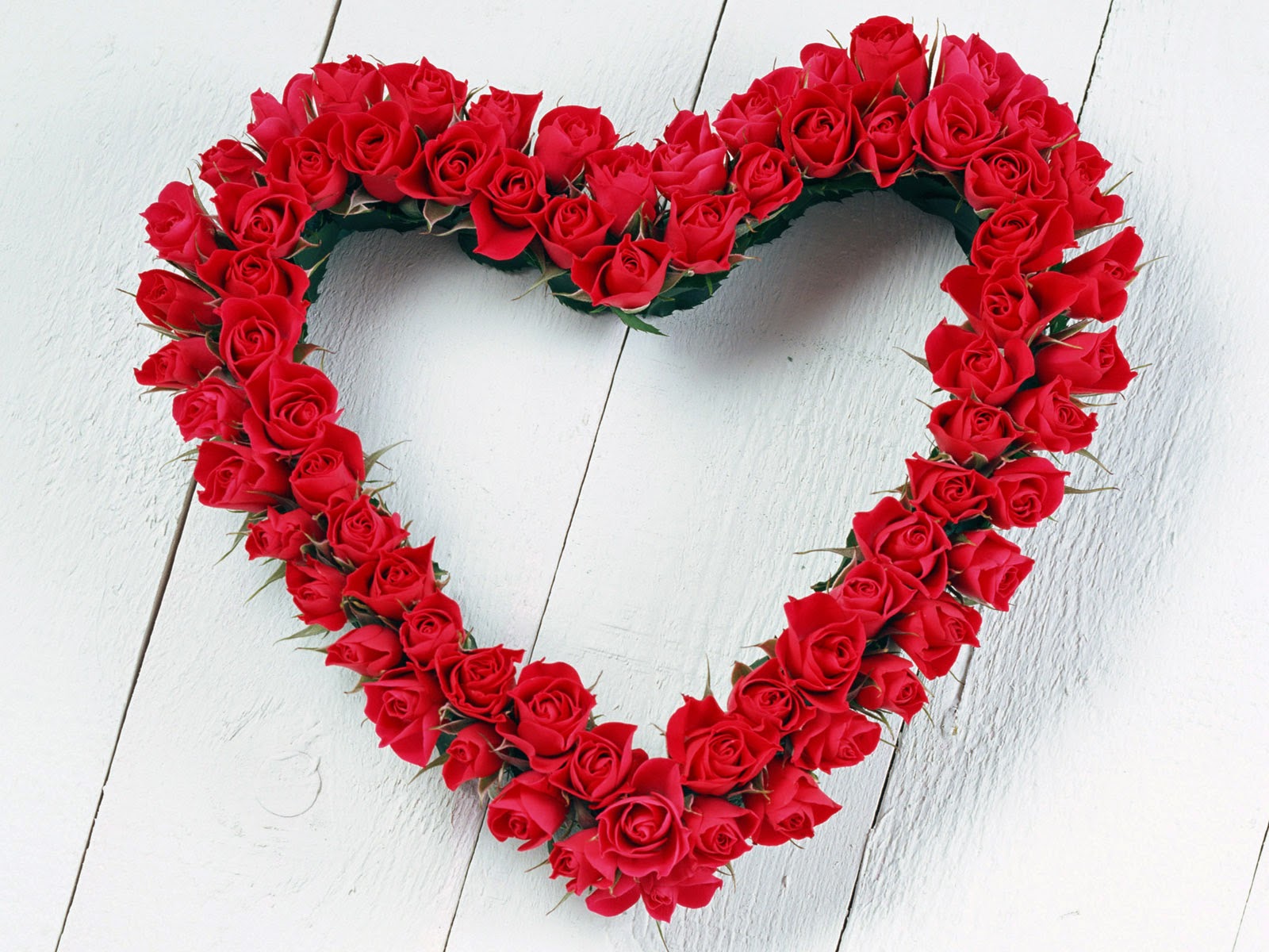 Saint_Valentines_Day_Beautiful_red_roses_St._Valentine_s_Day_013094_